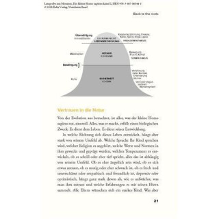 Der kleine Homo sapiens kanns! - Rita Messmer
