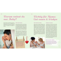 Das große Mama-Handbuch - Vivian Weigert & Wolf Lütje