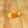 HOLZTIGER Goldfisch