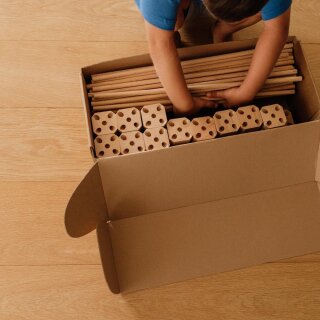 Libellen Set - 43 Teile