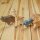 Wilde Tiere Set aus Holz – handgefertigte Tierfiguren für freies Spielen