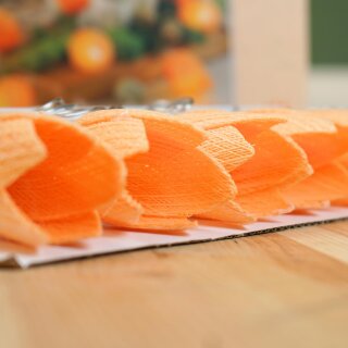 Lichterkette Tulpentraum mit Timer – Warmweiße LED-Frühlingsdeko