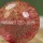 Wasserball Rosa-Glitter XXL – Glitzer Wasserflummi Ø 10 cm