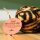 Animal Anti-Stress-Ball – Plüsch Stressball im Animal-Design