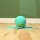 Splashies Octopus Wasserspritzer mit Spritzfunktion